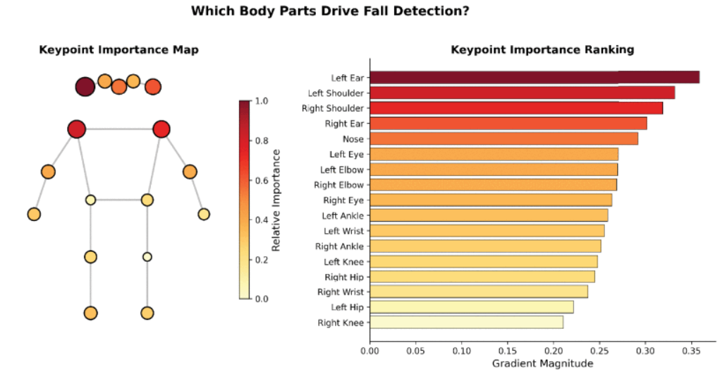 Real-Time Fall Detection with Light Transformers
